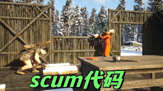 scumȫƷôȡ scumؼȫȡ2025
